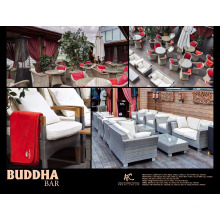 PROYECTO ATC - BUDDHA BAR